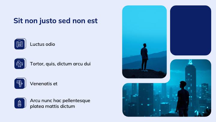 MellowForm Blue Professional slide 4